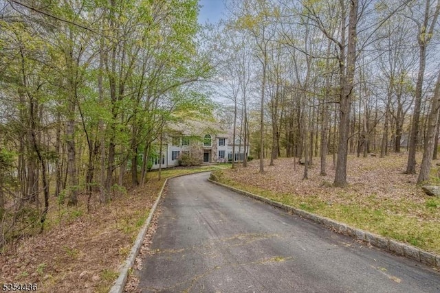 49 Morning Star Dr, Sparta Twp, NJ 07871 - view of street with curbs and aphalt driveway