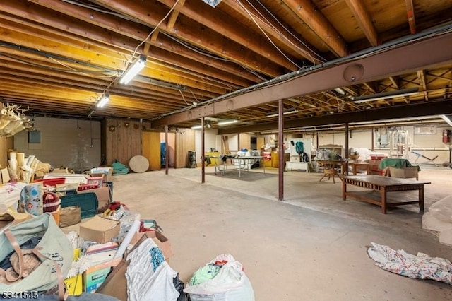 unfinished basement with electric panel
