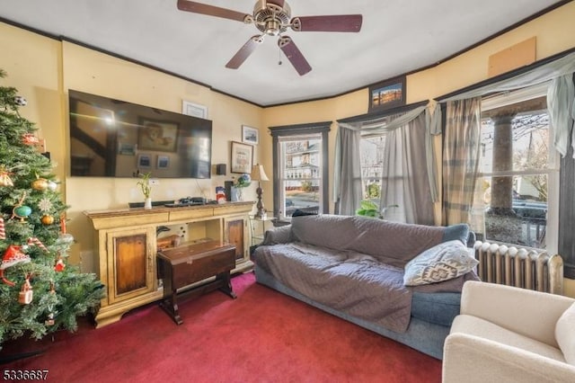 104 Riggs Pl, West Orange Twp, NJ 07052 - living area featuring a ceiling fan, radiator heating unit, and carpet
