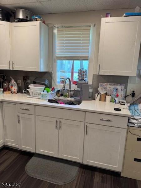 252 Spring St, Newton Town, NJ 07860 - kitchen with a sink, dark wood finished floors, white cabinets, and light countertops