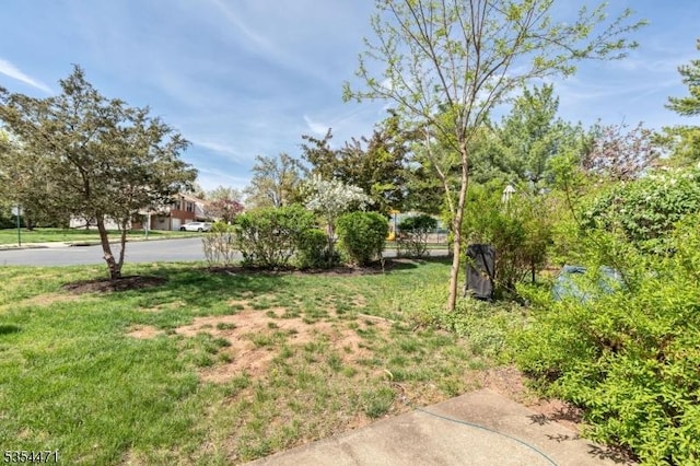 view of yard