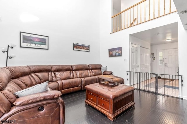 living area featuring a high ceiling and dark wood finished floors