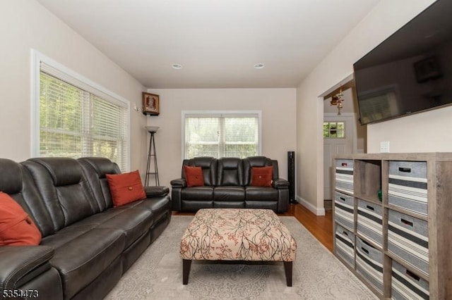 living area featuring recessed lighting and wood finished floors