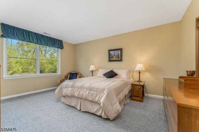 11 Southgate Dr, Clinton Twp, NJ 08801 - carpeted bedroom with baseboards