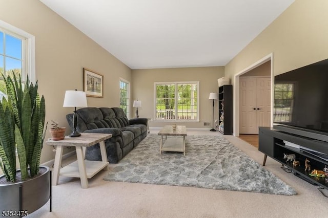 11 Southgate Dr, Clinton Twp, NJ 08801 - view of carpeted living room