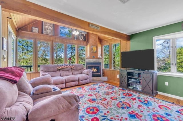 living area with wooden walls, baseboards, and a wealth of natural light