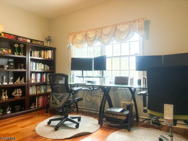 office area featuring wood finished floors
