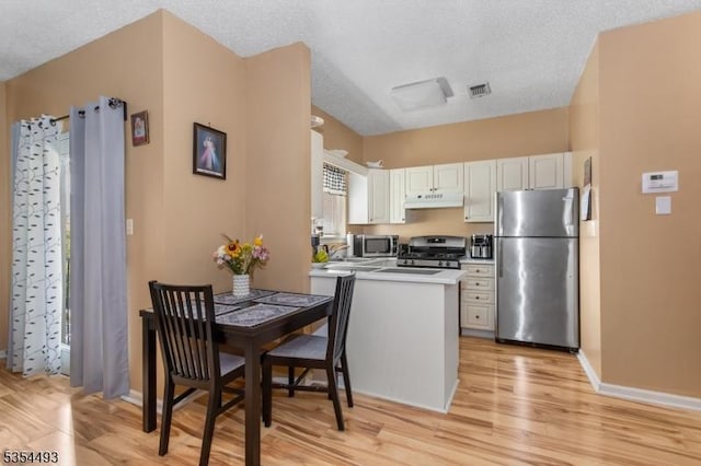 kitchen with a peninsula, baseboards, under cabinet range hood, light wood finished floors, and stainless steel appliances