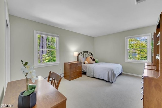 21 Dorset Rd, Washington Twp, NJ 07853 - bedroom with multiple windows, carpet flooring, baseboards, and baseboard heating