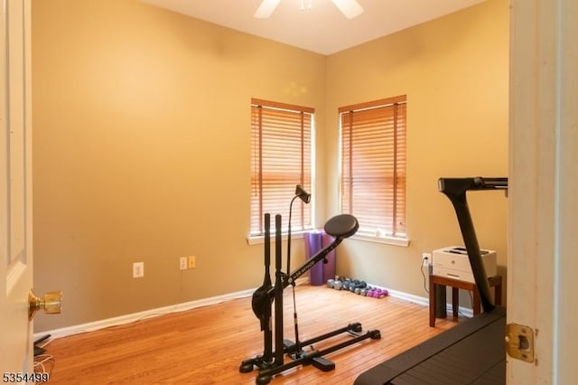 workout area with baseboards, ceiling fan, and wood finished floors