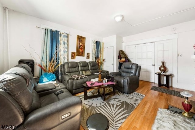 living area featuring wood finished floors