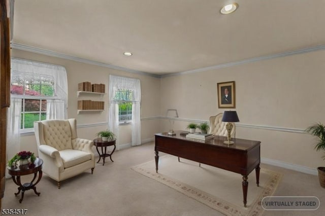 office featuring crown molding, plenty of natural light, and carpet