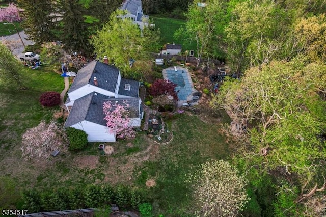 bird's eye view
