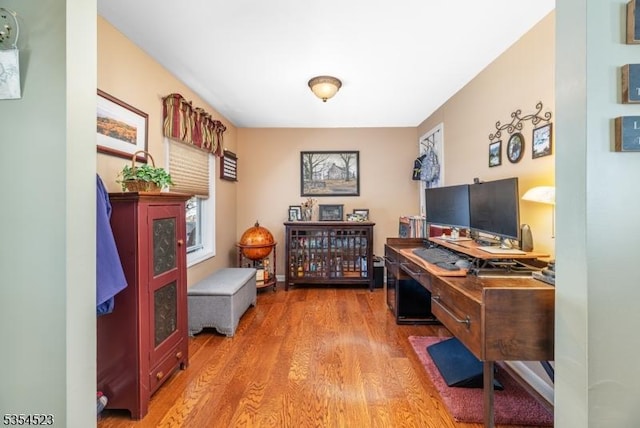 office area featuring wood finished floors