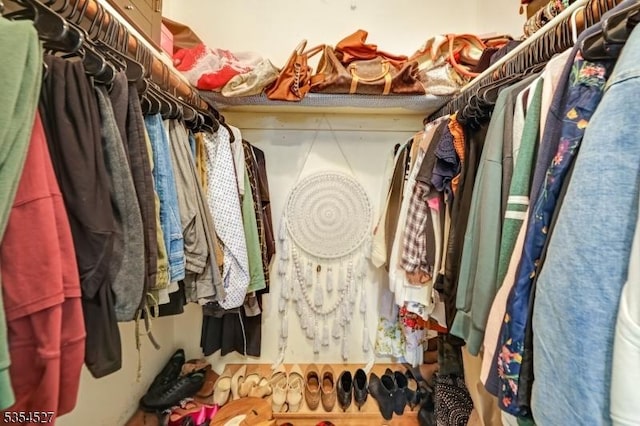 view of spacious closet