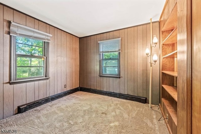 226 Wilson Rd, Franklin Twp, NJ 08873 - empty room with wooden walls and carpet