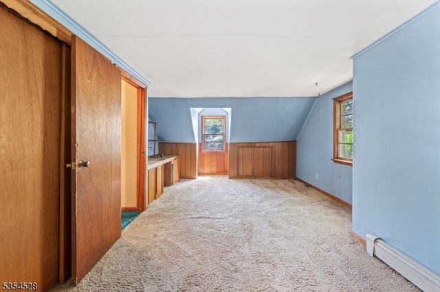 226 Wilson Rd, Franklin Twp, NJ 08873 - bonus room featuring a healthy amount of sunlight, light carpet, and a baseboard heating unit