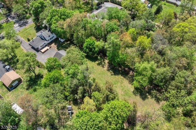 226 Wilson Rd, Franklin Twp, NJ 08873 - drone / aerial view