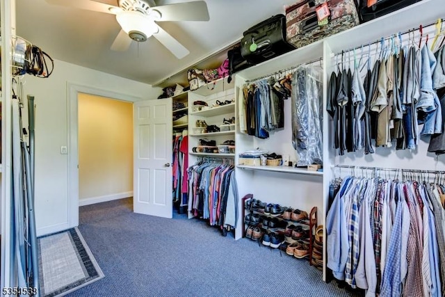 walk in closet featuring carpet and a ceiling fan