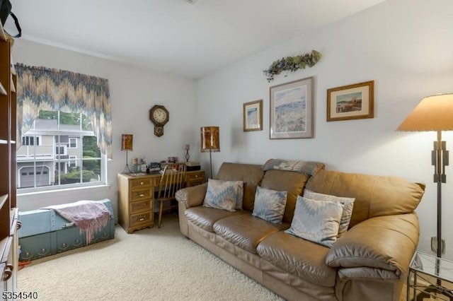 living room featuring carpet flooring