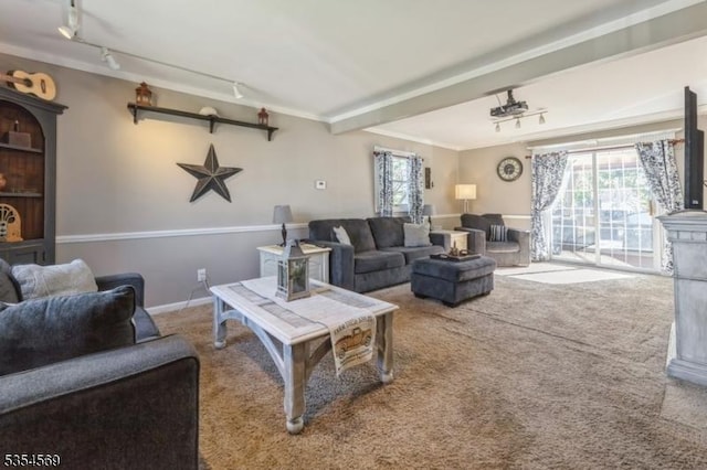 living room featuring carpet flooring, a wealth of natural light, and rail lighting