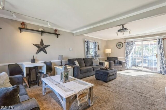 carpeted living area featuring rail lighting