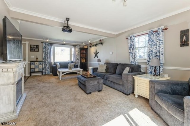 living room featuring light colored carpet and ornamental molding