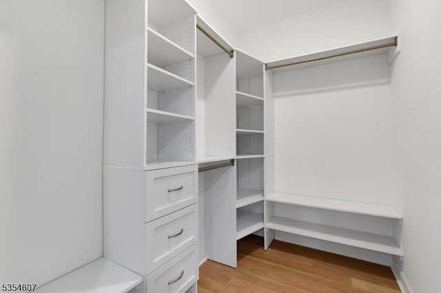spacious closet with light wood-type flooring