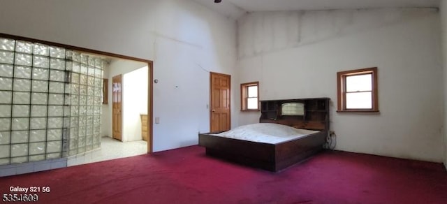 12 Ridge Rd, Andover Twp, NJ 07860 - carpeted bedroom with high vaulted ceiling and multiple windows