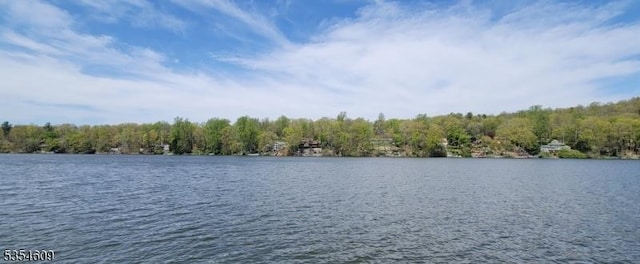 12 Ridge Rd, Andover Twp, NJ 07860 - property view of water