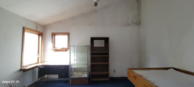 12 Ridge Rd, Andover Twp, NJ 07860 - bedroom with dark carpet and vaulted ceiling