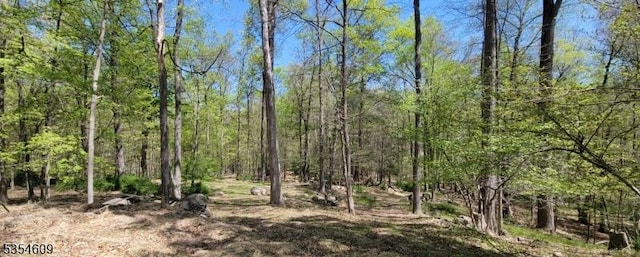 12 Ridge Rd, Andover Twp, NJ 07860 - view of landscape featuring a forest view