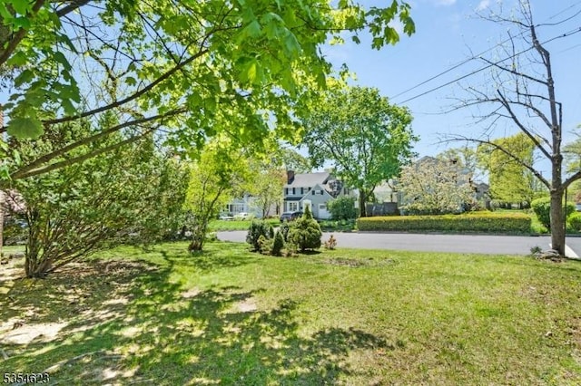 630 Ridgewood Rd, Maplewood Twp, NJ 07040 - view of yard