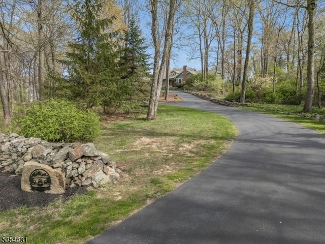 view of street with driveway