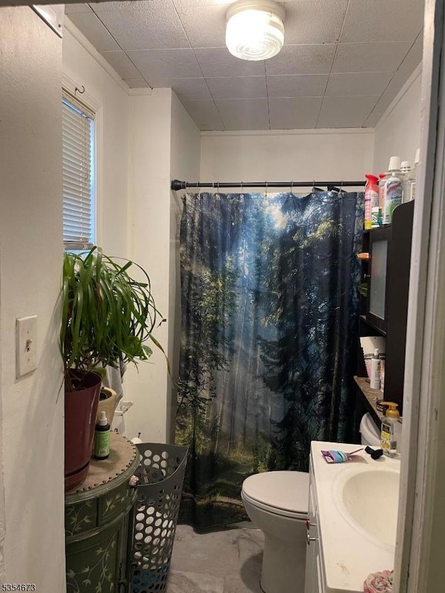 304 Burlington Ave, Delanco Twp, NJ 08075 - bathroom with vanity, a shower with shower curtain, and toilet