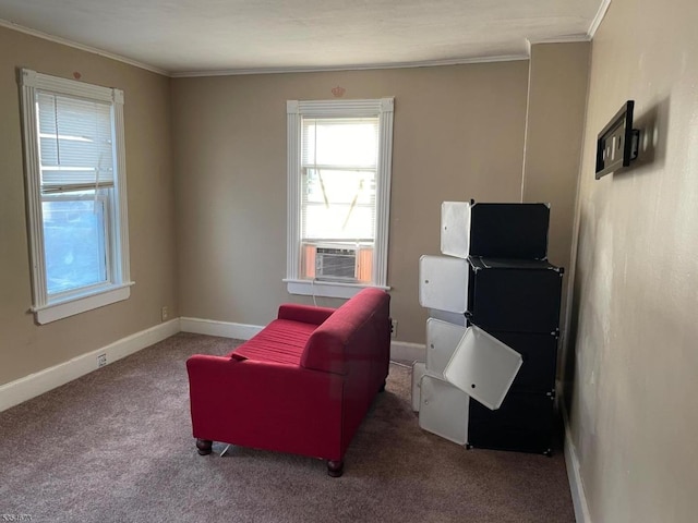 304 Burlington Ave, Delanco Twp, NJ 08075 - sitting room featuring crown molding, carpet, cooling unit, and baseboards