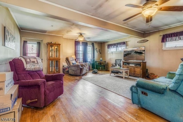 living area featuring crown molding, ceiling fan, and hardwood / wood-style floors