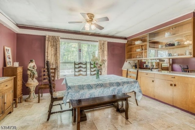 dining area featuring ceiling fan and ornamental molding