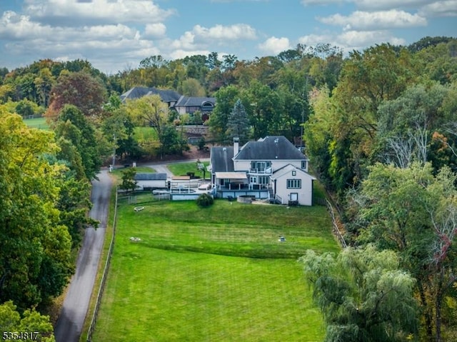 bird's eye view