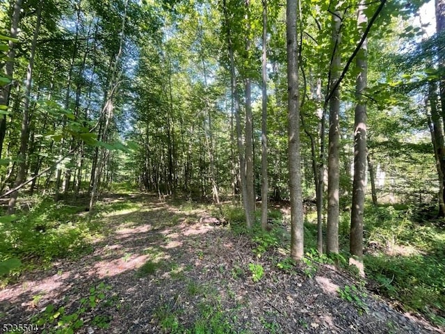 29 Elm Ave, Warren Twp, NJ 07059