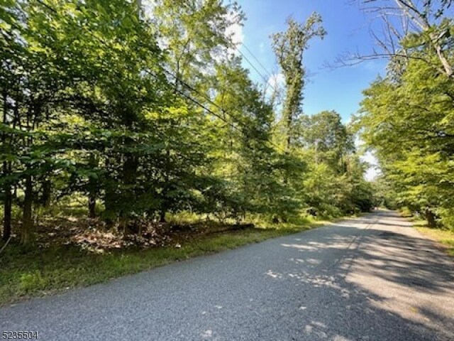 29 Elm Ave, Warren Twp, NJ 07059
