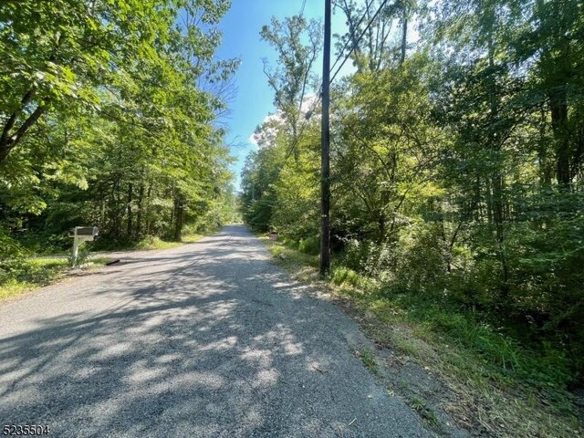 29 Elm Ave, Warren Twp, NJ 07059