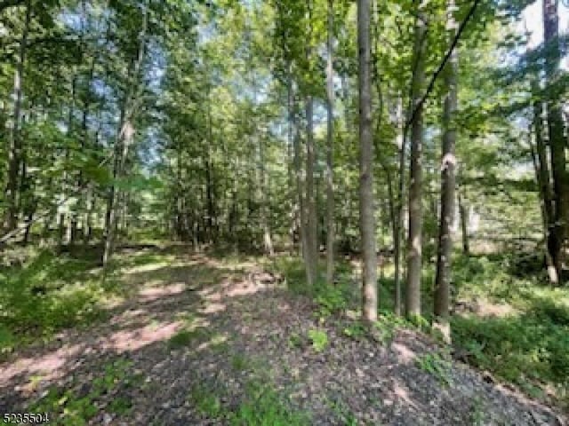 29 Elm Ave, Warren Twp, NJ 07059