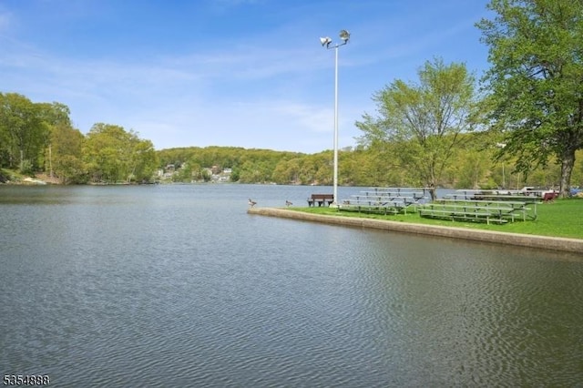 property view of water featuring a wooded view