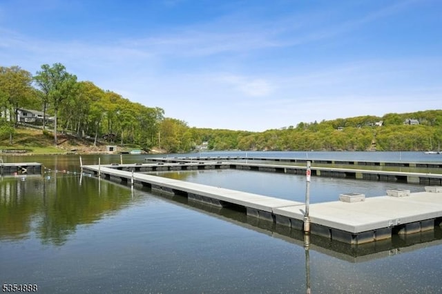view of dock with a water view