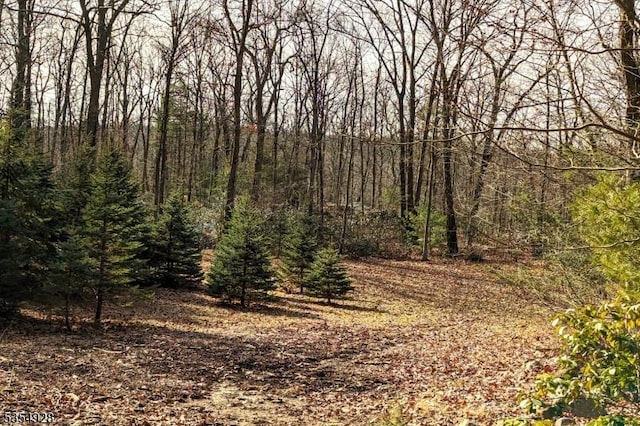 202/207 Rockburn Pass, West Milford Twp, NJ 07480
