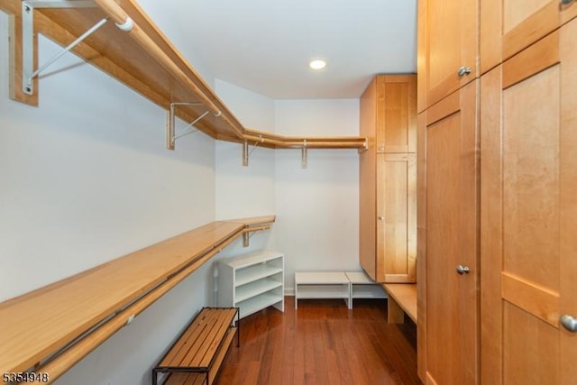 70 Crenshaw Dr, Mount Olive Twp, NJ 07836 - spacious closet with dark wood-type flooring