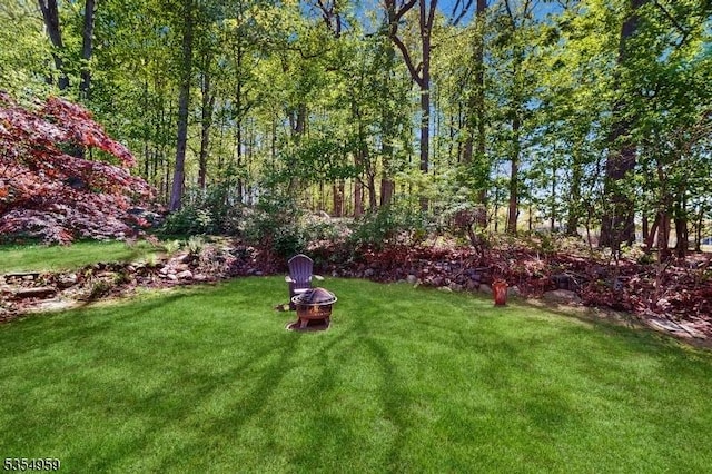 view of yard with an outdoor fire pit