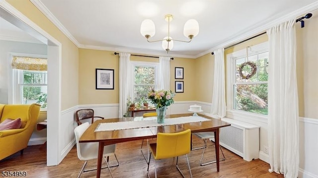 dining room with crown molding, a chandelier, wood finished floors, and radiator