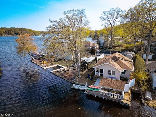 dock area with a water view